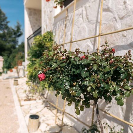 Hedon-Stone Appartement Starigrad Paklenica Buitenkant foto